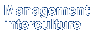 Management interculturel